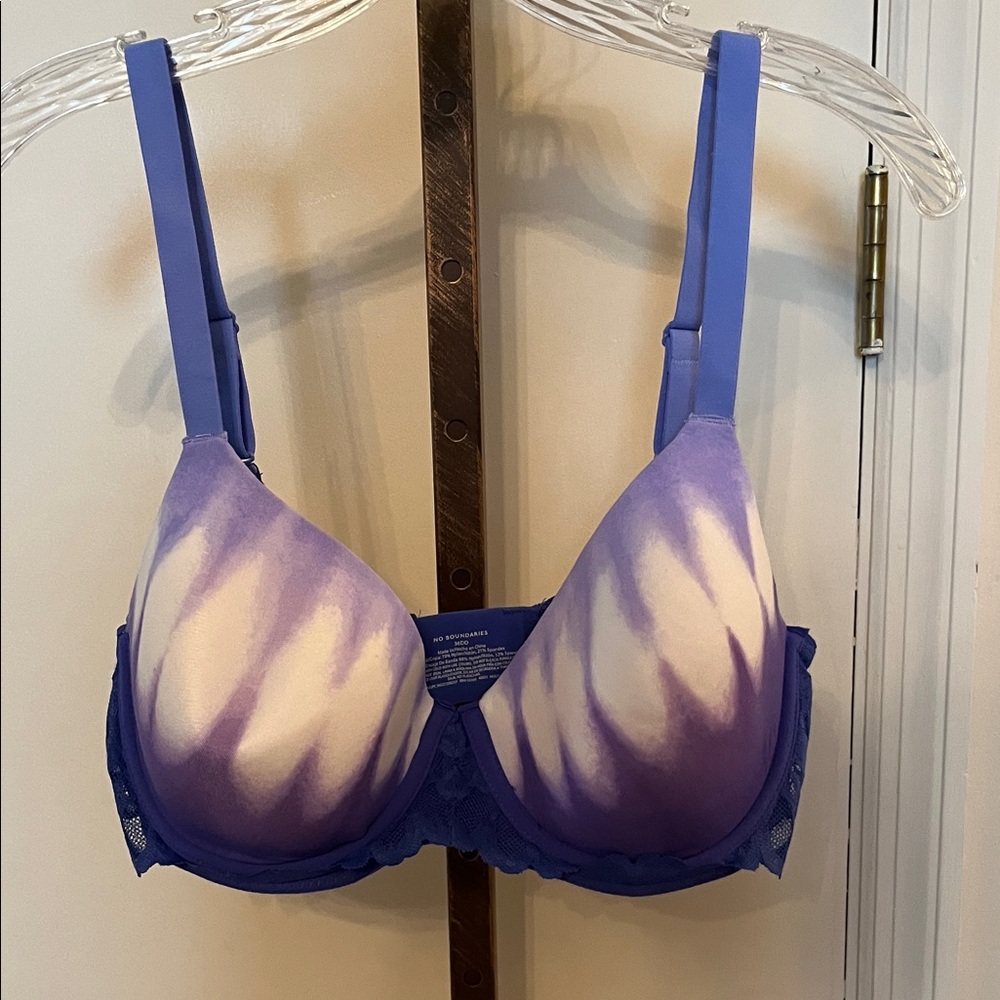No Boundaries Blue, Purple and White Ombre Bra